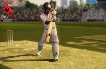 cricket world cup 2007 game download for pc
